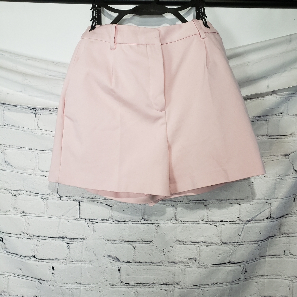 Zara Shorts NWT Size M